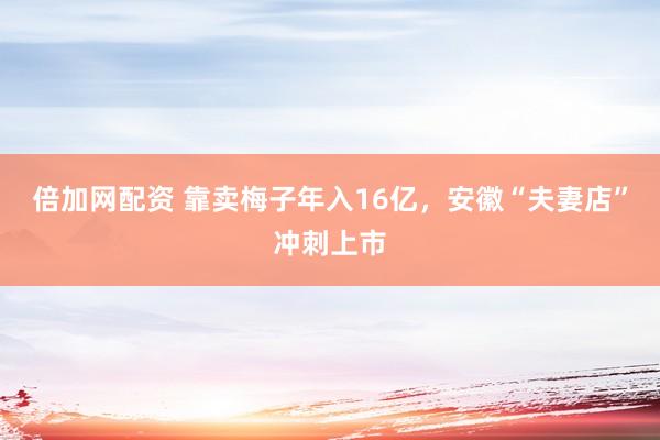 倍加网配资 靠卖梅子年入16亿，安徽“夫妻店”冲刺上市